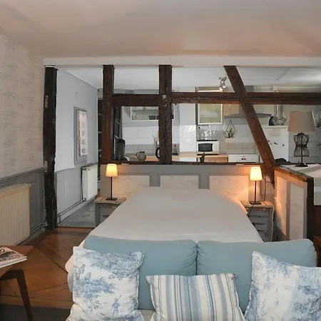 Apartment Le Duplex Colmar