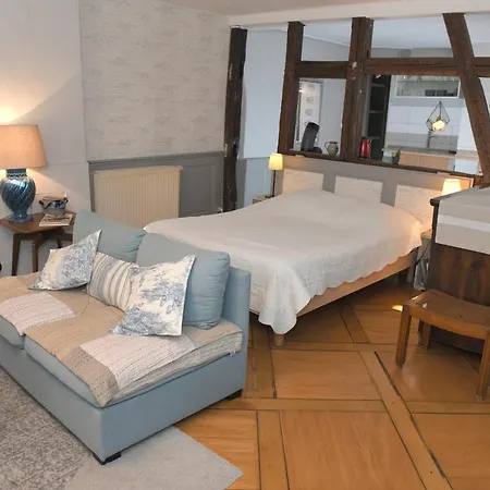 Le Duplex コルマール